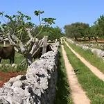Pietraluce Alberobello