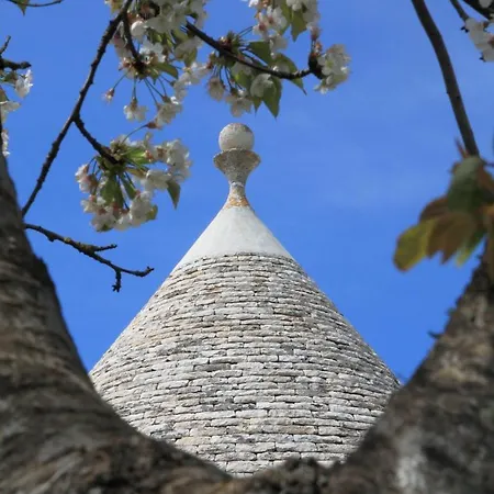 Pietra Luce Dei Trulli منزل ريفي ألبيروبيللو