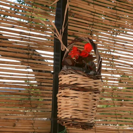 Pietraluce Gospodarstwo wiejskie *