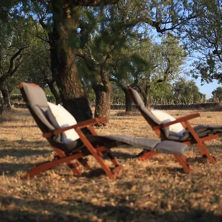 Pietraluce Gospodarstwo wiejskie