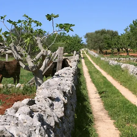 Pietraluce Alberobello