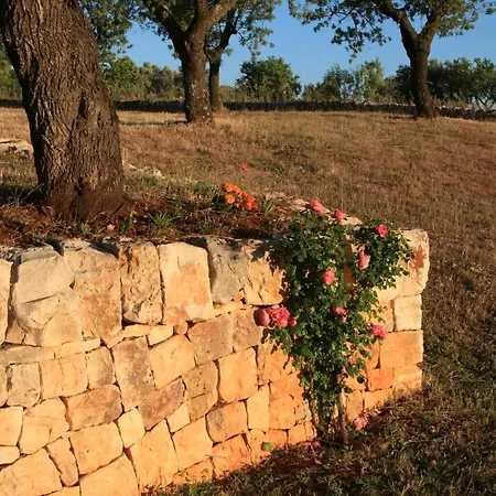 Pietraluce Летний дом