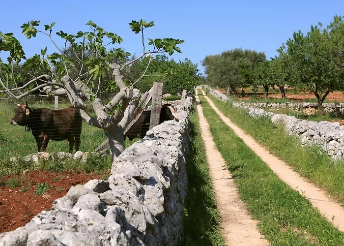Pietraluce Alberobello