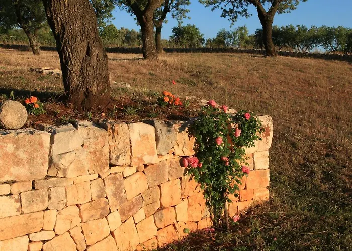 Pietraluce Country house